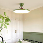 Flush Mount Ceiling Light | Modern Ceiling Light Fixture | Integrated LED Ceiling Light | Nature-Inspired Design | Stylish Home Lighting - Zardee-1