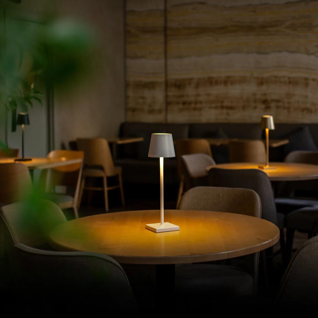 Modern Lampshade Light | Decorative Table Lamp | Elegant Floor Light | Stylish Ceiling Fixture | Home Lighting Solution - Zardee 6