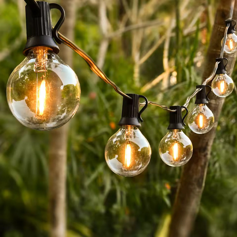 Outdoor LED Lights | Weather-Resistant Festoon Lights | Garden String Lights | Smart-Compatible Outside Lighting | Versatile Wall Lights - Zardee 1