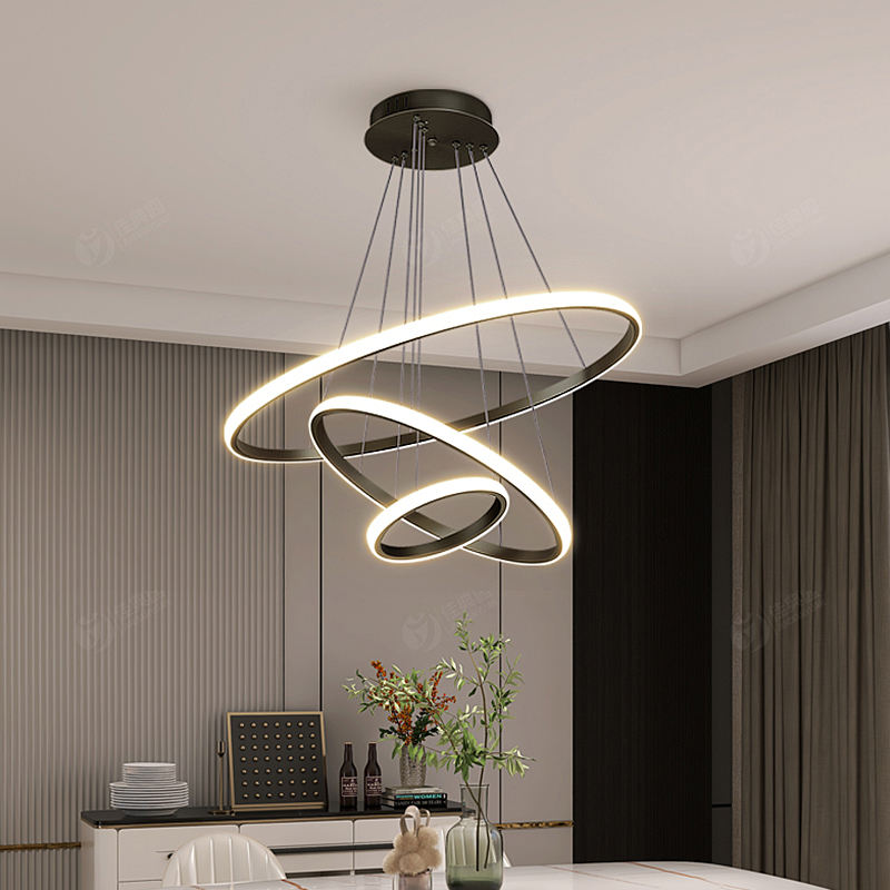 Modern Ceiling Light Fixture | Adjustable LED Ceiling Lights | Stylish Ring Lamp | Dimmable Light Fixture | Minimalist Home Lighting - Zardee-2