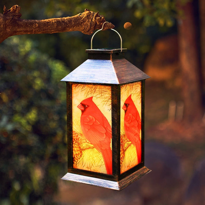 Outdoor Solar Lanterns Waterproof | Solar Lanterns for Garden | Decorative LED Garden Light | Eco-Friendly Solar Lamp | Portable Outdoor Solar Light - Zardee 2
